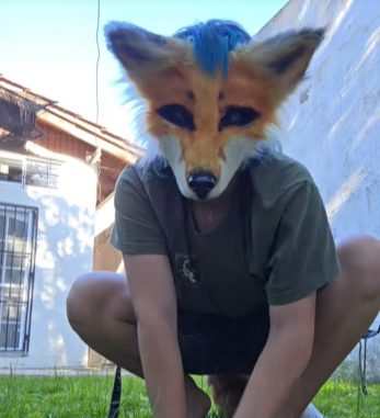 What does the fox say