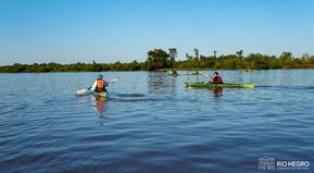 Clavo mi remo en el agua