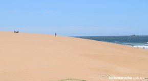 Se hace camino al andar