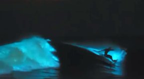 El crack de la semana