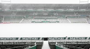 Pelota naranja a escena