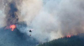 Todos los fuego, el fuego