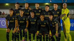 Qué alegría, qué alegría