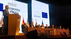 Con la mente en el juego