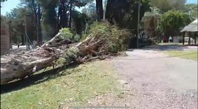 ¿Qué está pasando?