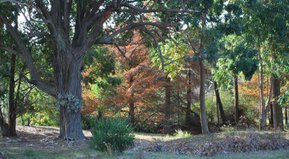 Ahora se trata de caminar