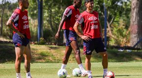 La frutilla de la torta