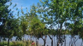 La noticia del verano