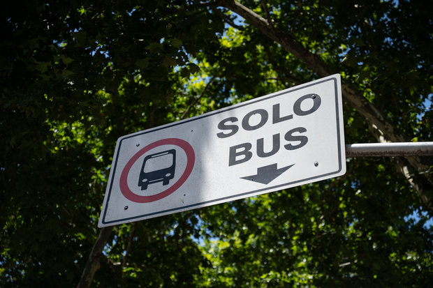 Foto: Intendencia de Montevideo