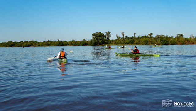 Clavo mi remo en el agua