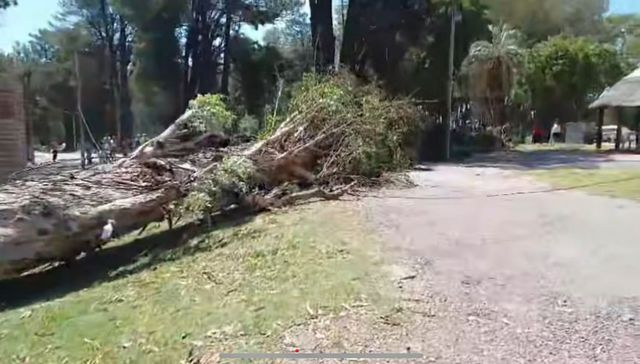 ¿Qué está pasando?