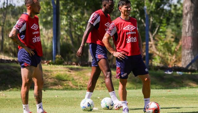 La frutilla de la torta