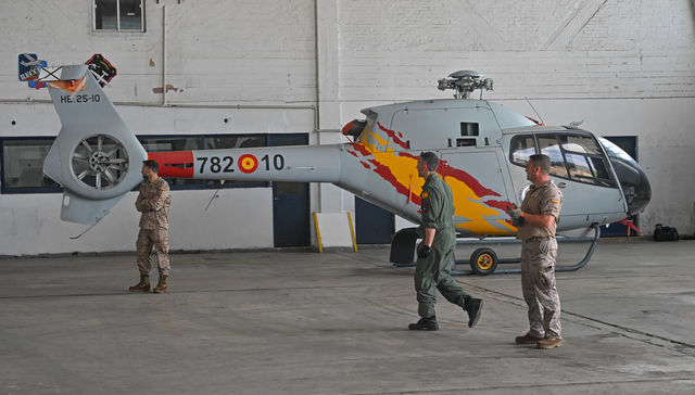 Ojo no tiren un chancho