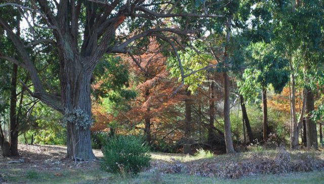 Ahora se trata de caminar