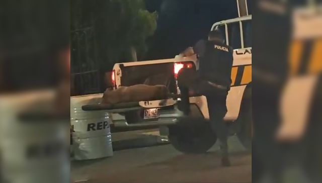 Así empieza John Wick