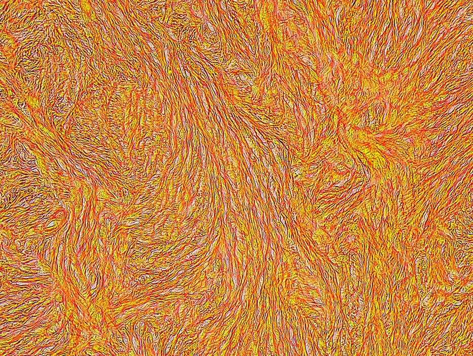 Más respeto soy tu madre