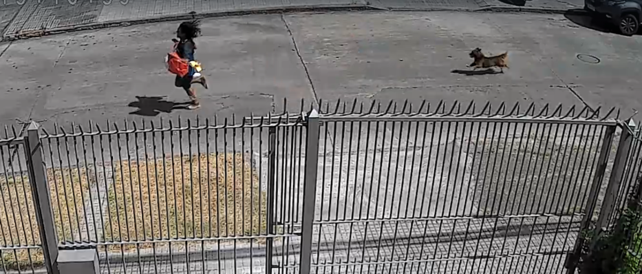 Violenta rapiña en Montevideo: Mujer fue brutalmente golpeada y robada por pareja de delincuentes