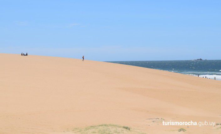 Se hace camino al andar