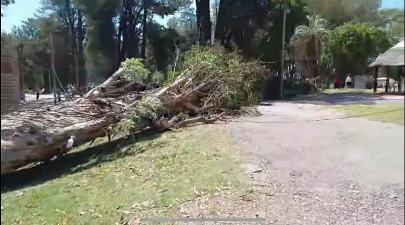 ¿Qué está pasando?