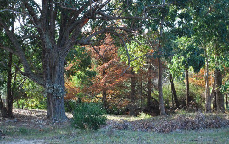 Ahora se trata de caminar