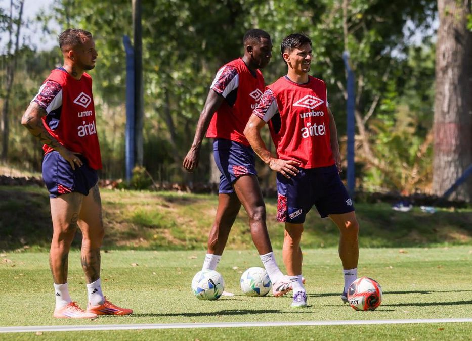 La frutilla de la torta