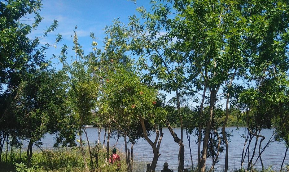 La noticia del verano