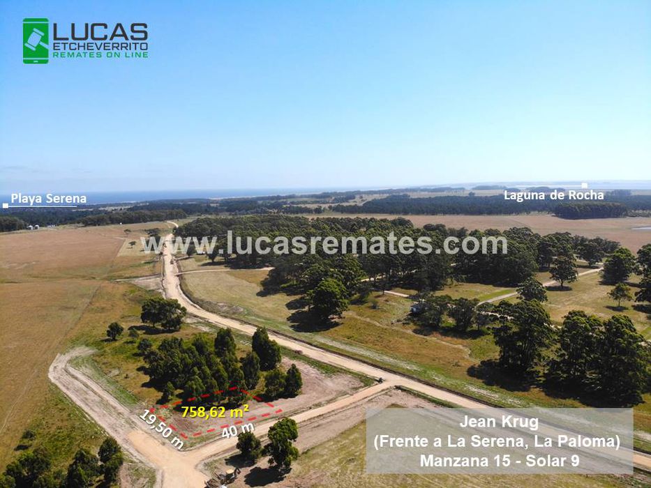 Foto: cedida a Montevideo Portal