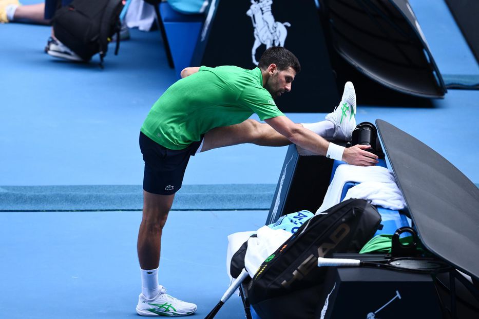 Bajo el ojo de halcón