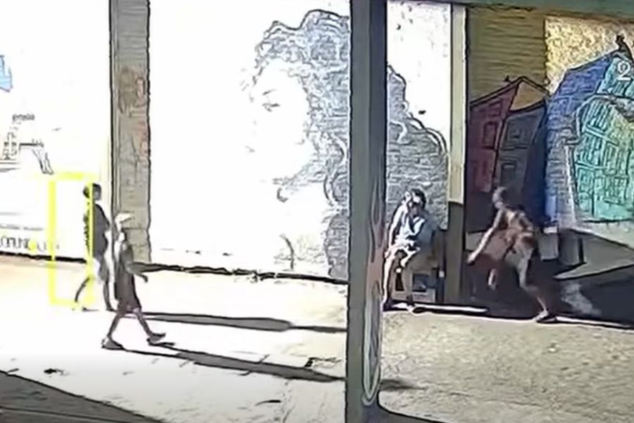 Barajar y dar de nuevo