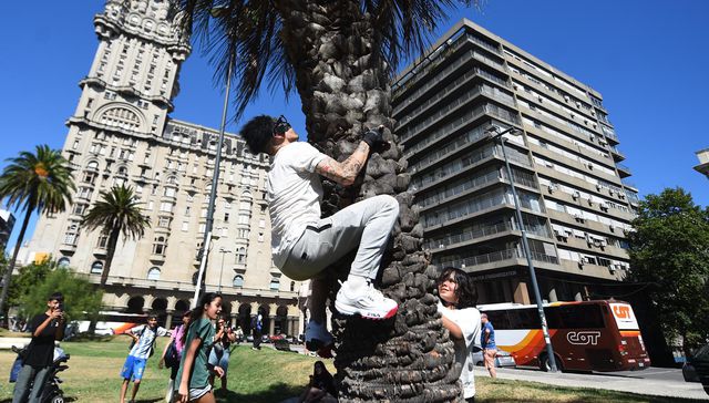 Inserte aquí su chiste