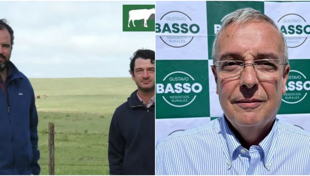 Está en todos lados