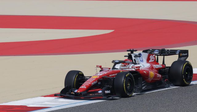 ¿Será este su año?