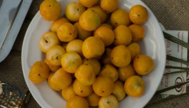 Rocha no tan solo eres palmar