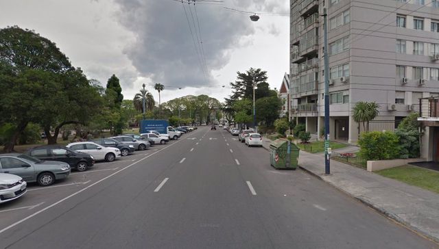 Si fueran therians, serían cuervos