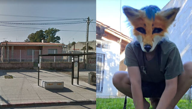 La curiosidad mató al gato