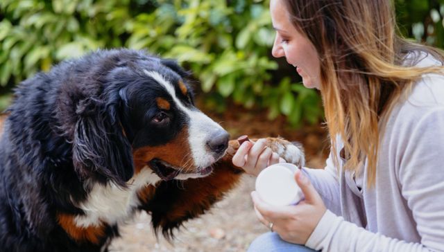 Su golosina favorita