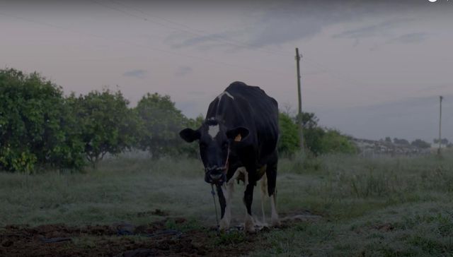 Historia social de la comida