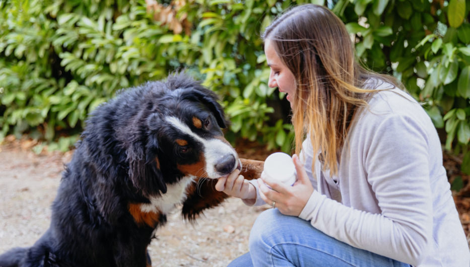 Foto: cedida a Montevideo Portal