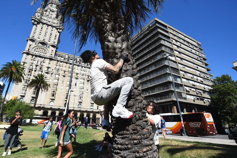 Inserte aquí su chiste