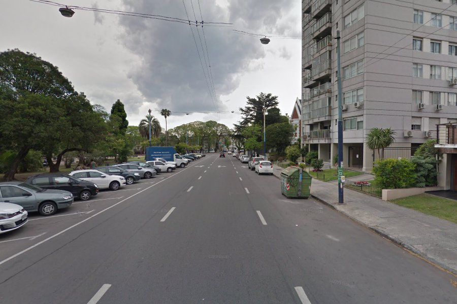 Si fueran therians, serían cuervos