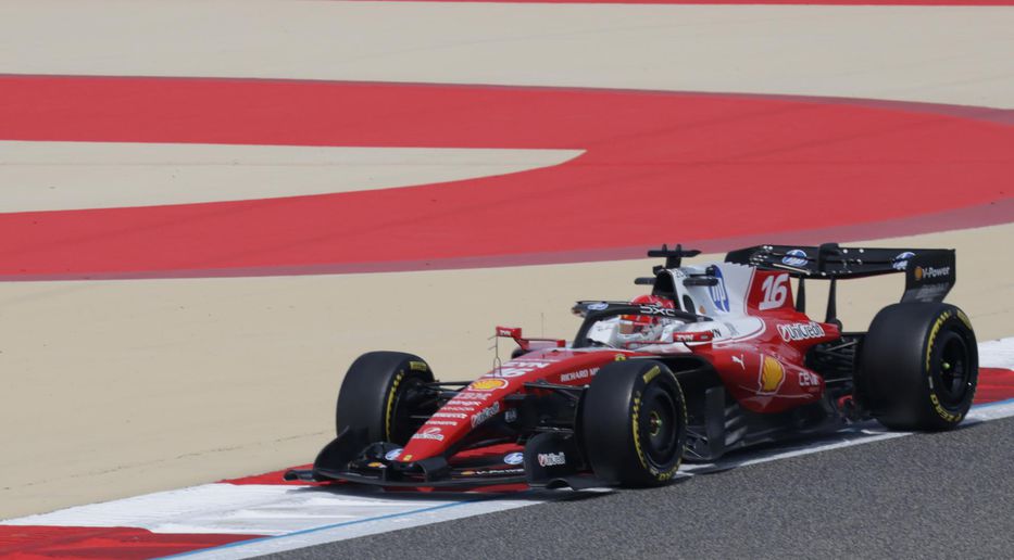 ¿Será este su año?