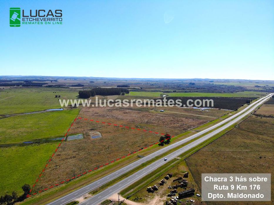 Foto: cedida a Montevideo Portal