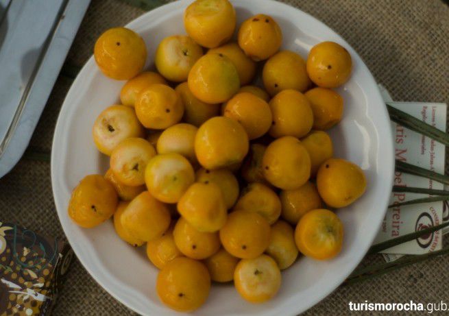 Rocha no tan solo eres palmar