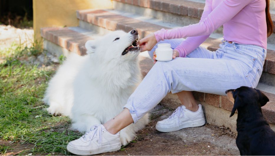 Foto: cedida a Montevideo Portal