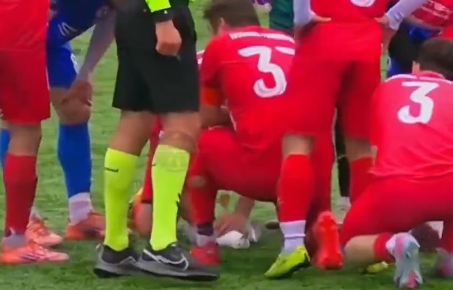 La gaviota ta picoteando