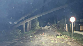 Bienvenido team invierno