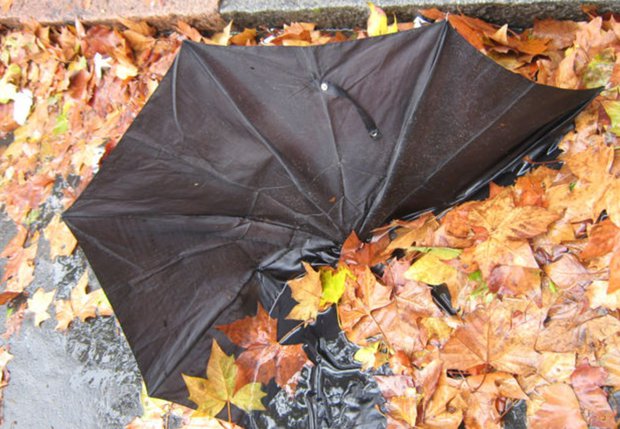 Imagen de archivo. Gerardo Carrasco / Montevideo Portal