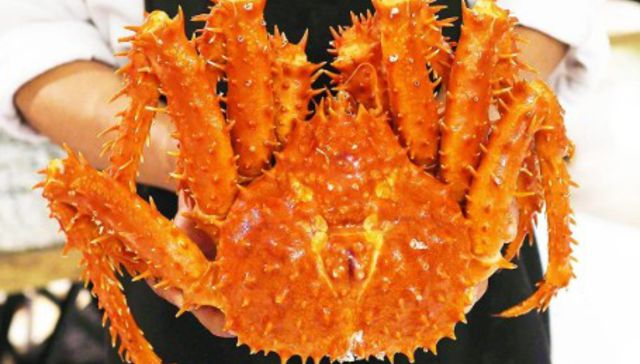 No solo viven a pizza