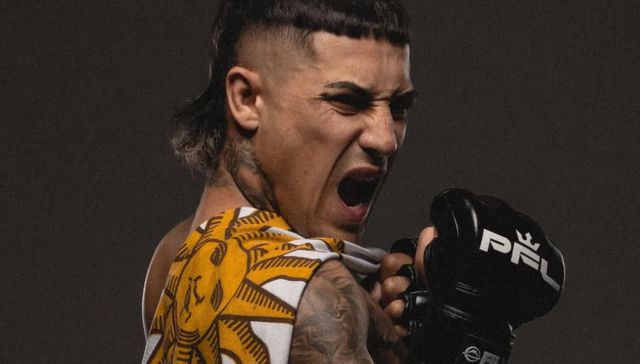 Un toro entre toreros