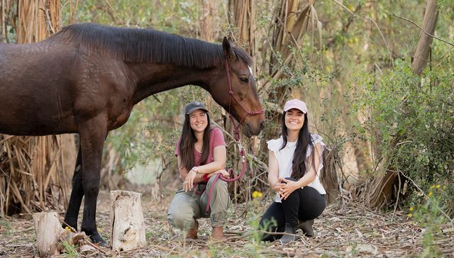 La salud en movimiento